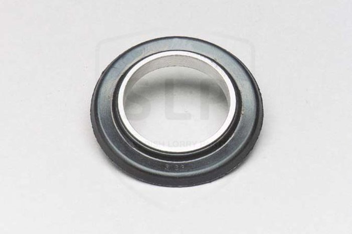 LBS-479